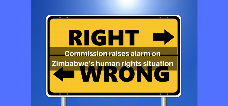 Commission raises alarm on Zimbabwe’s human rights situation