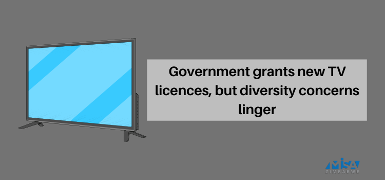 Government grants new TV licences, diversity concerns linger